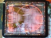 100420102041.jpg